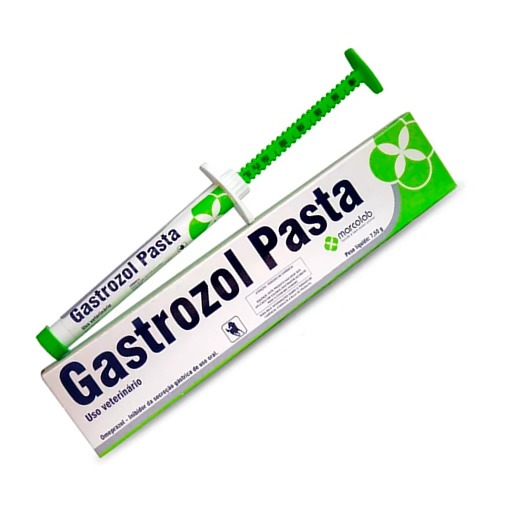 Gastrozol Pasta 7,5g