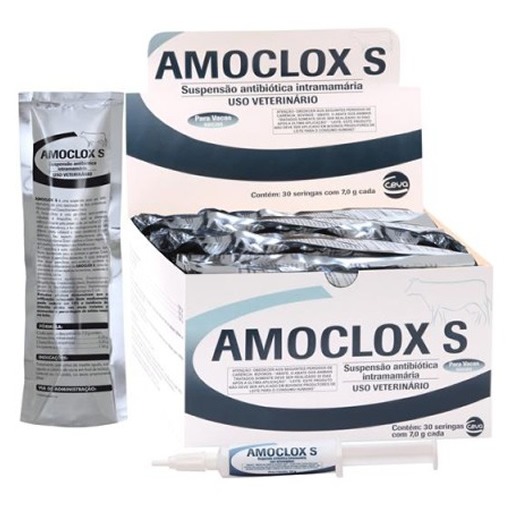 Amoclox S Seringa 7g
